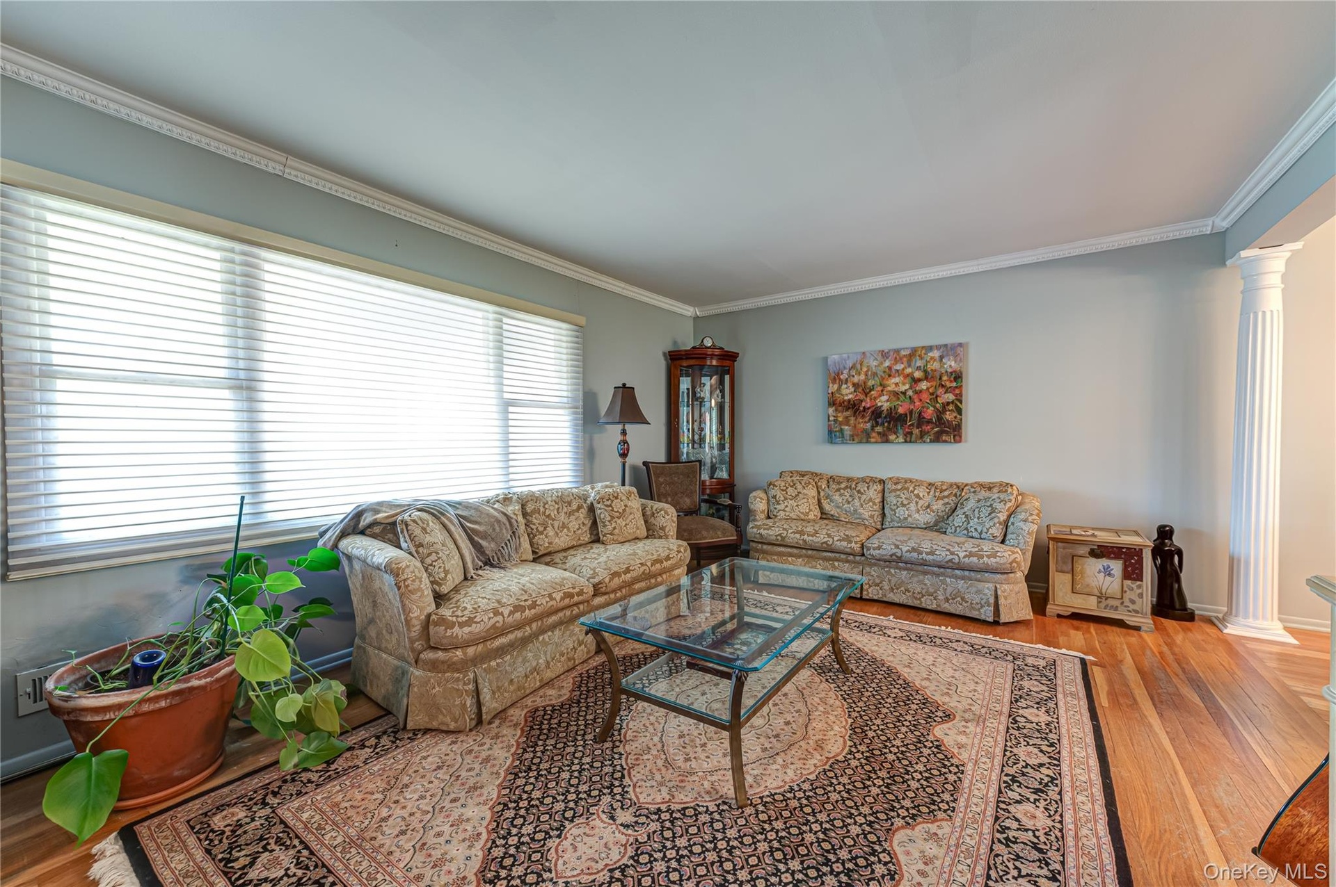 Hardwood flooring, crown molding, a large picture window with blinds, and decorative fluted columns