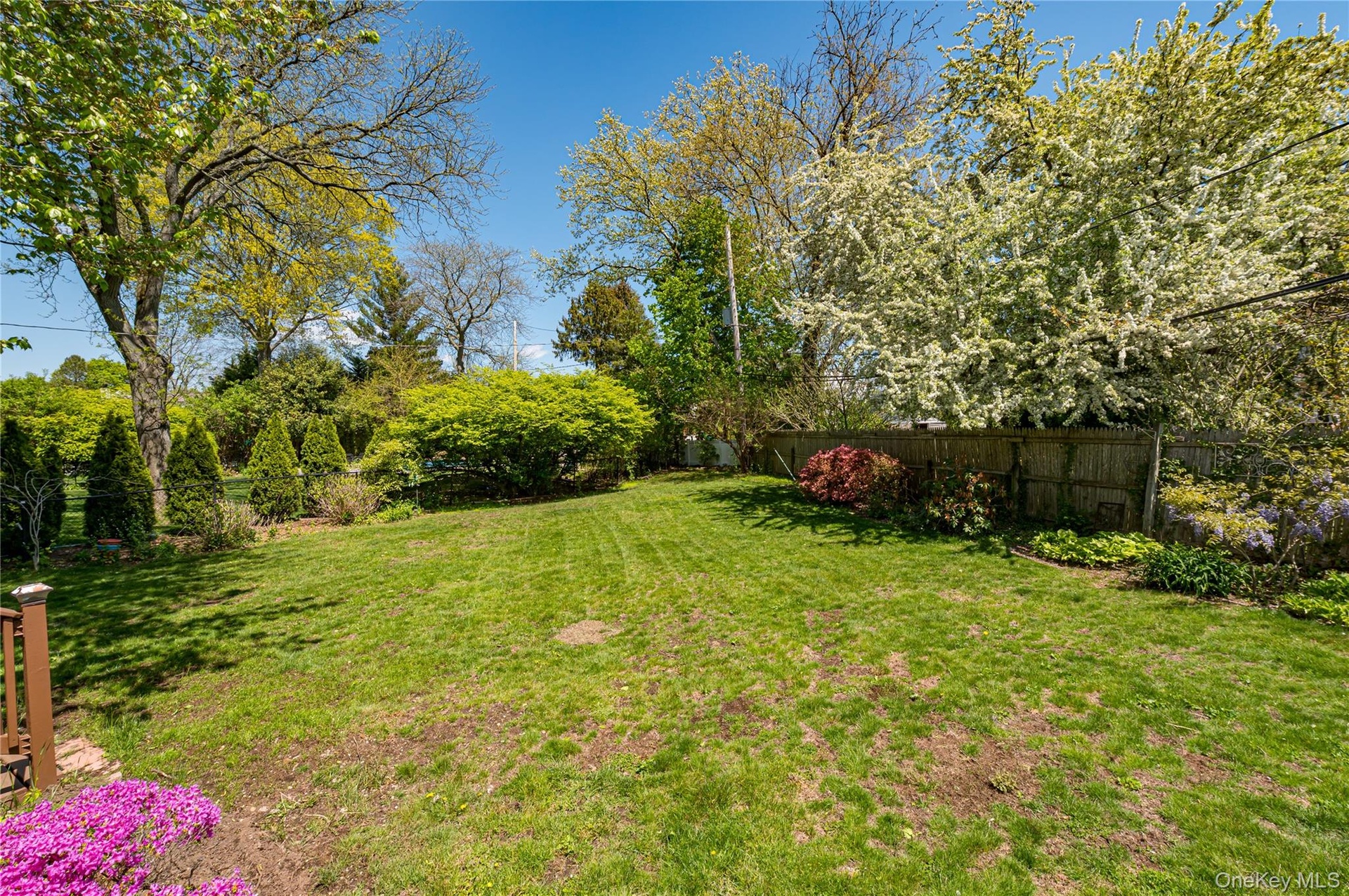 Large yard