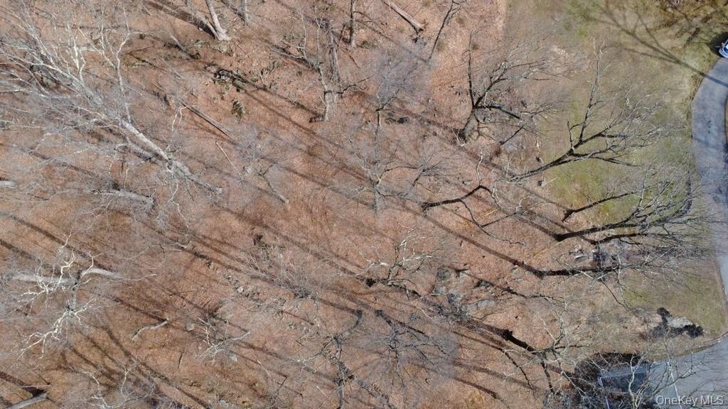 Ariel view