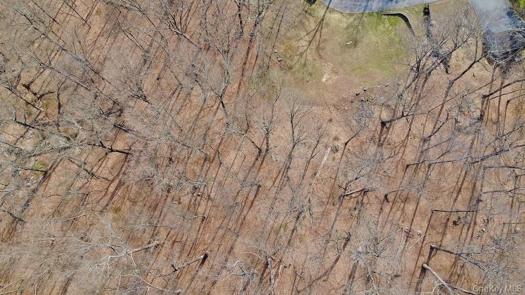 Ariel view