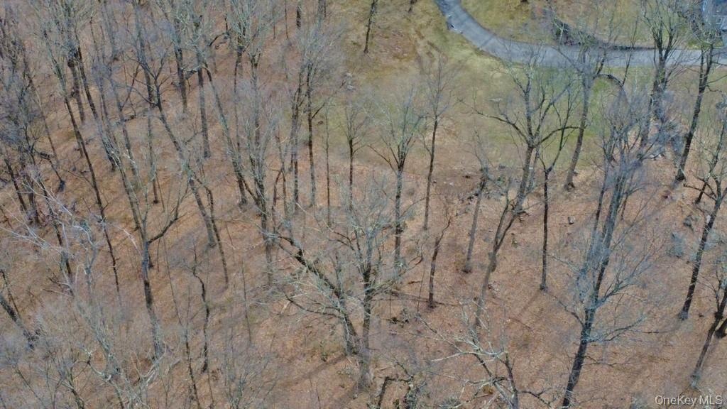 Ariel view
