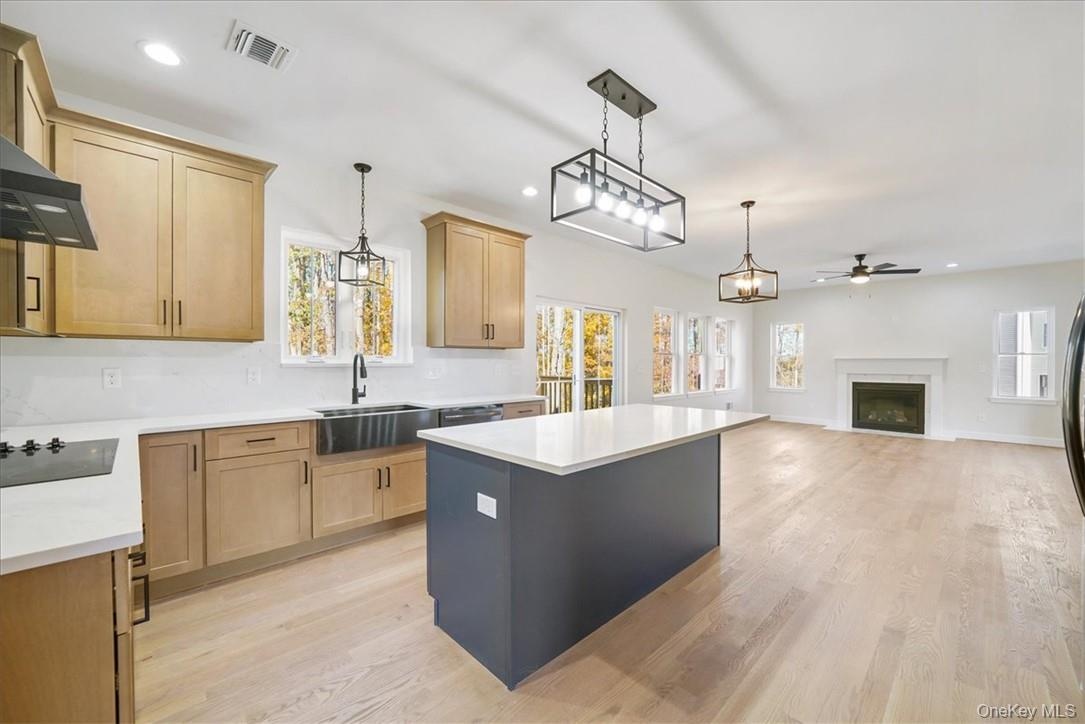 Kitchen featuring light hardwood / wood-style floors, plenty of natural light, sink, and a center island