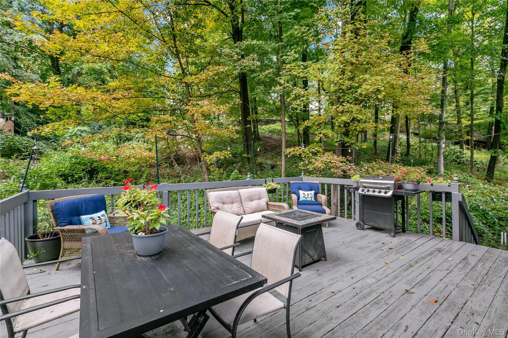 Lush wooded setting for the private deck.