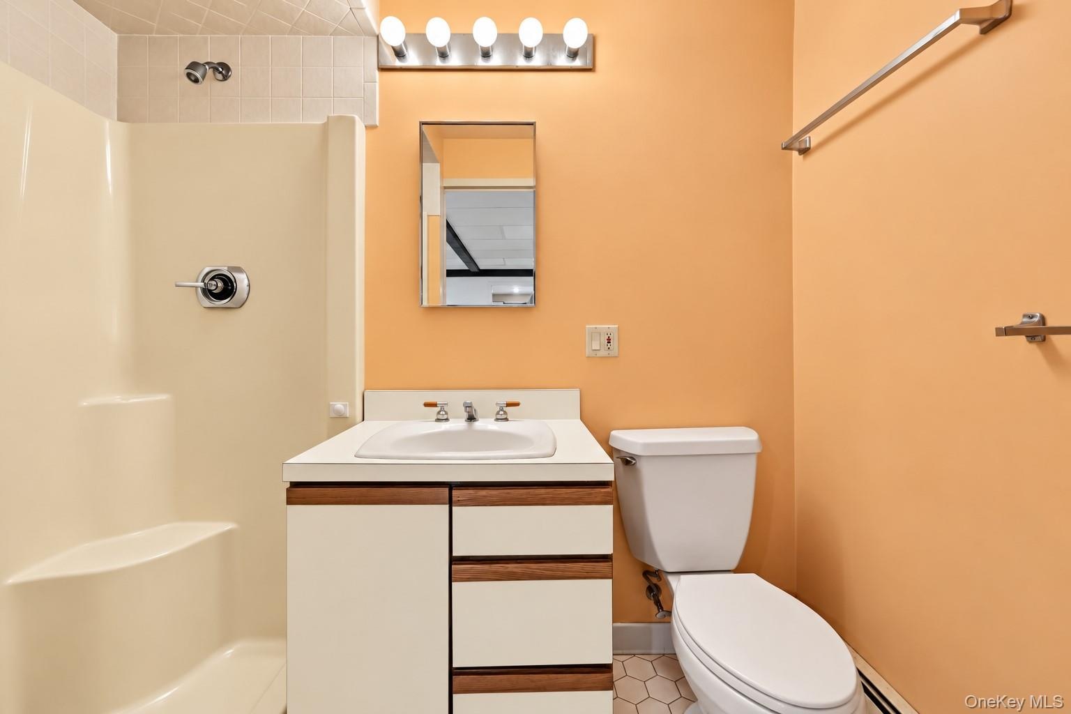 Lower level bathroom.