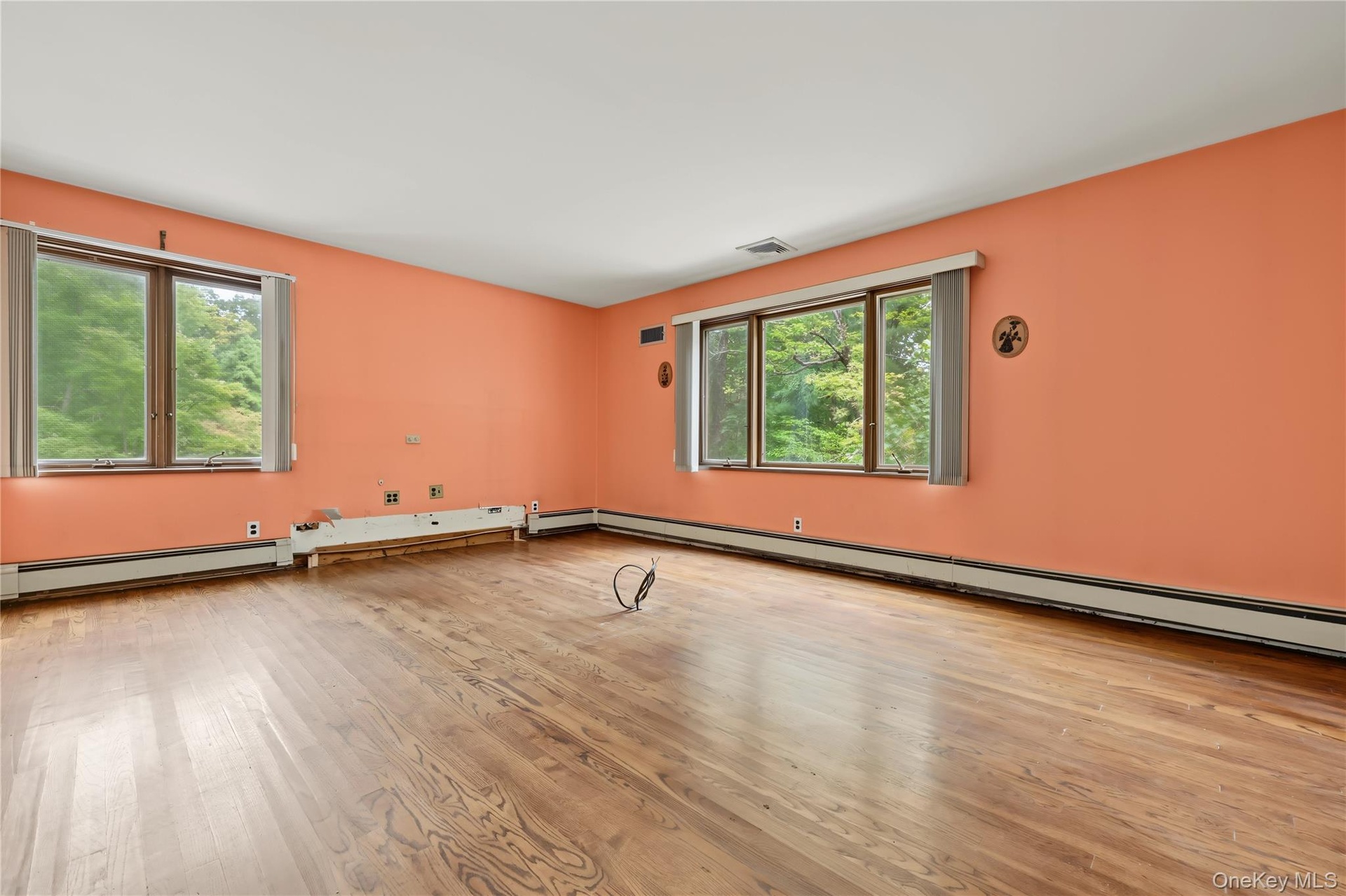 Large room with oversized windows and wood floors