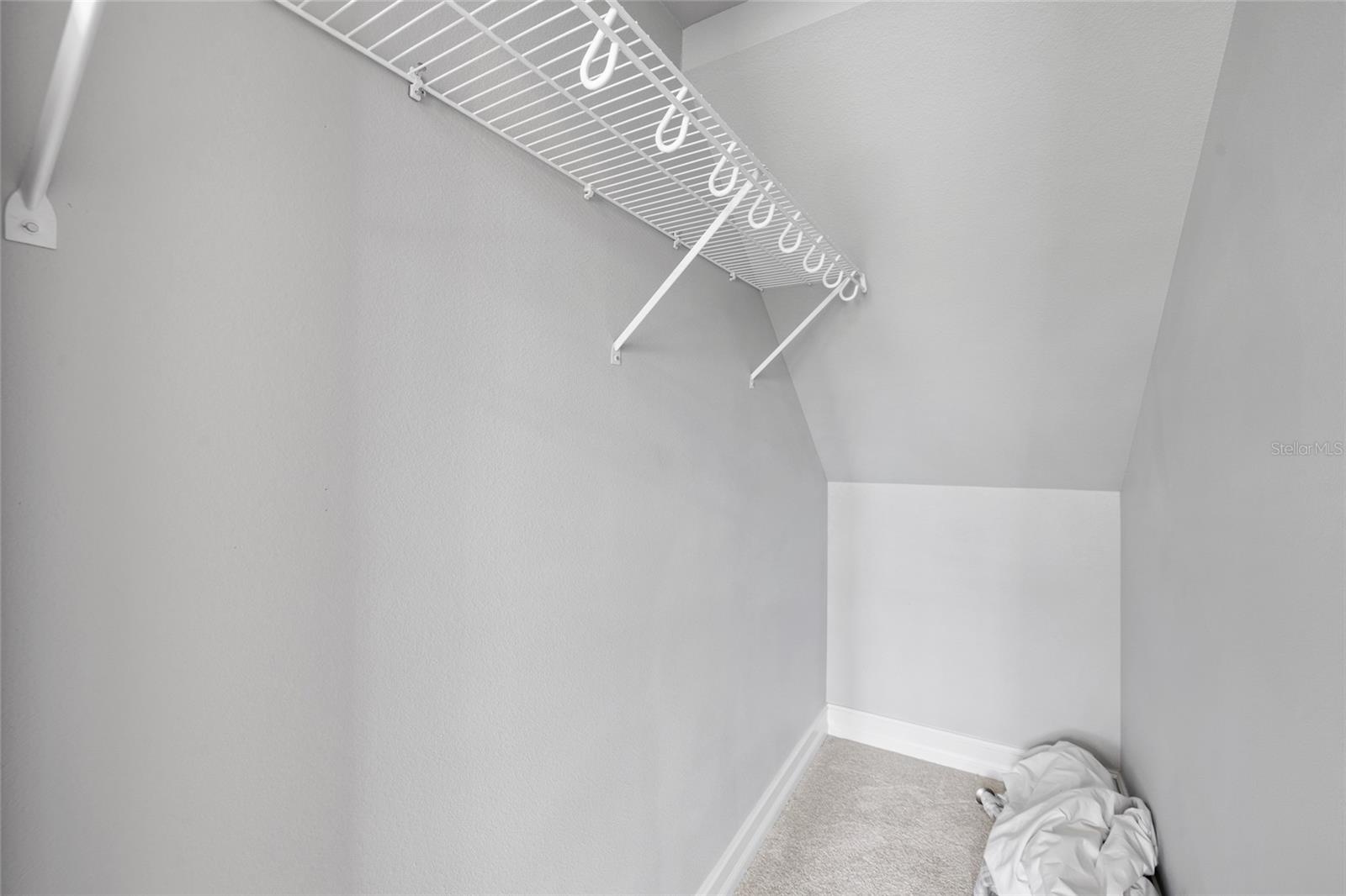 First Floor Guest Room Closet