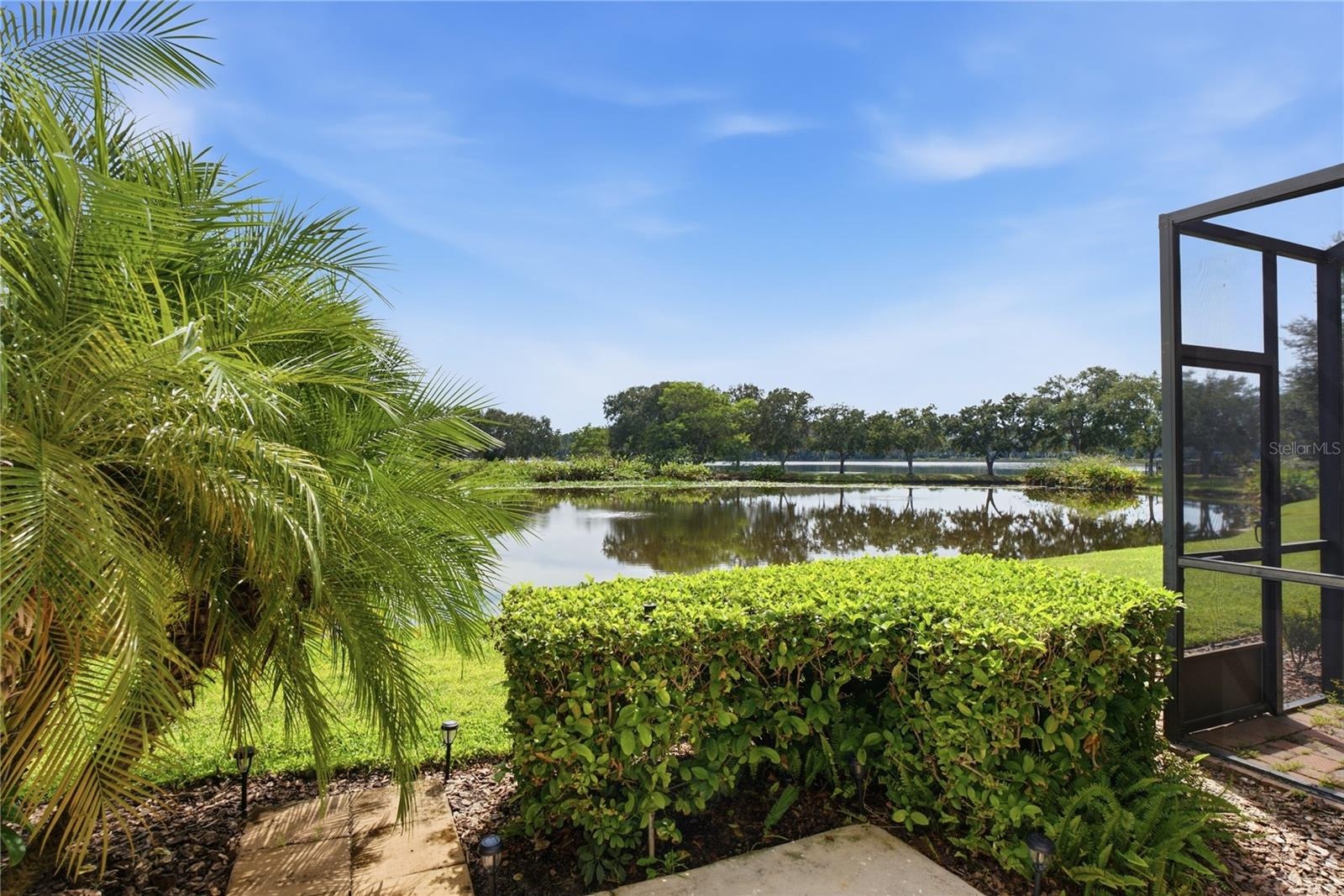 Lake view