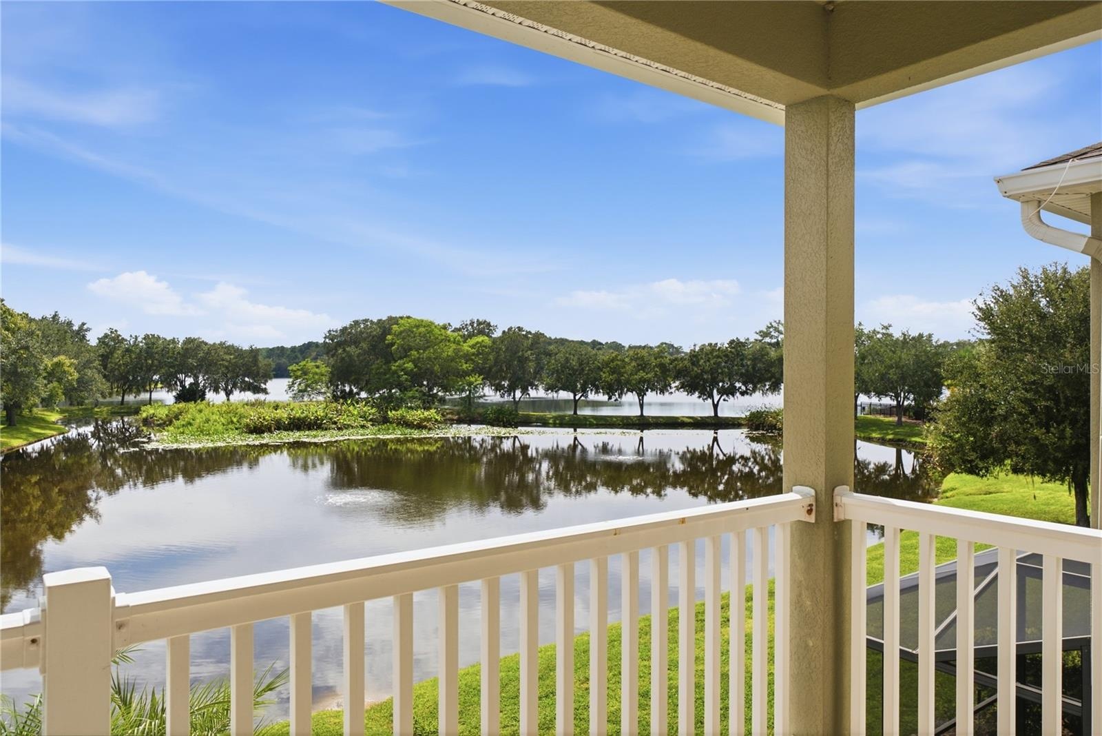 Lake view