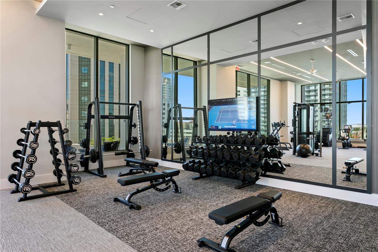 Free Weight Area
