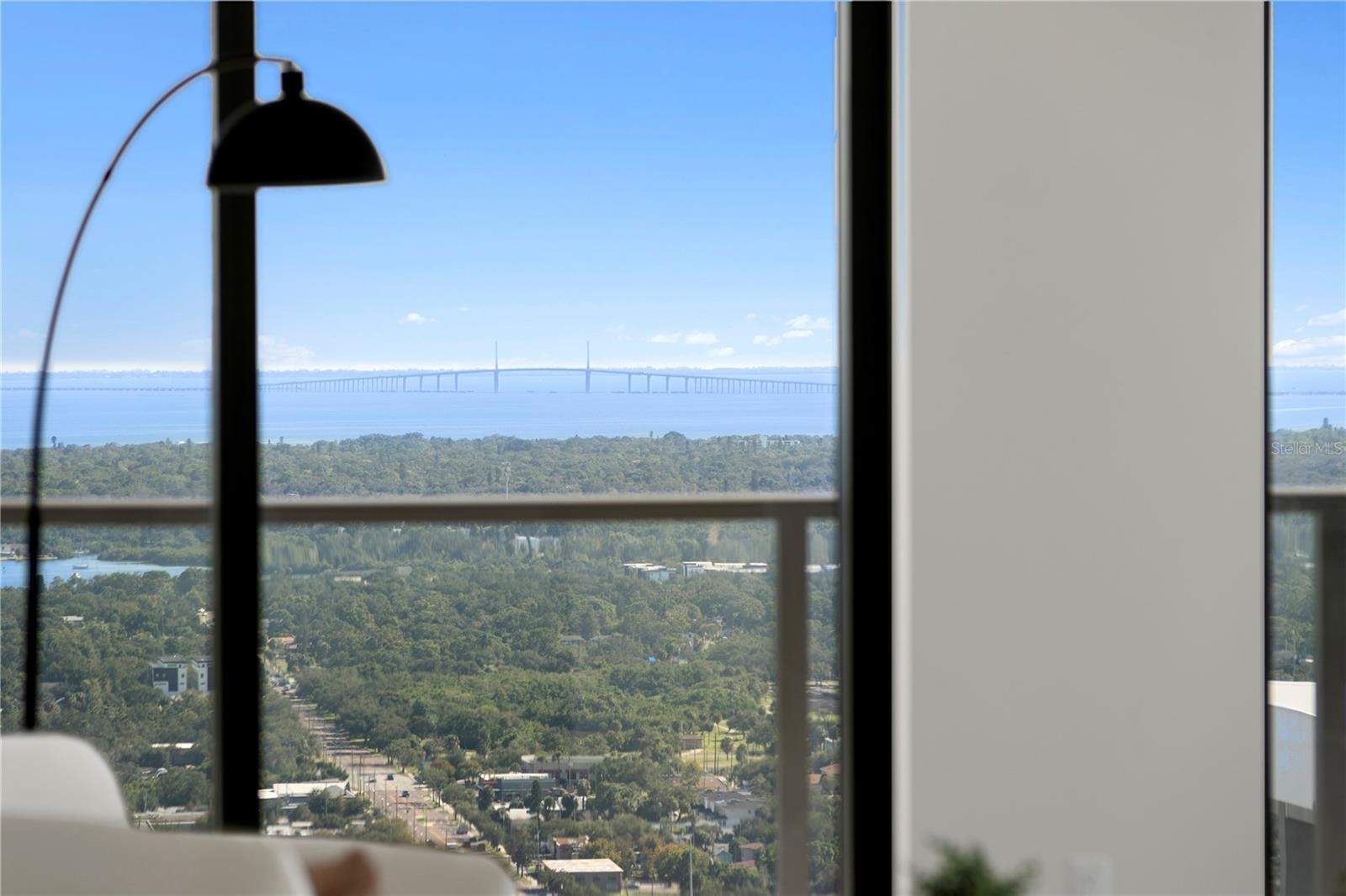 Reach Out and Touch the Skyway Bridge!