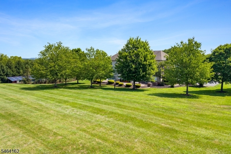 BEAUTIFUL BACKYARD
