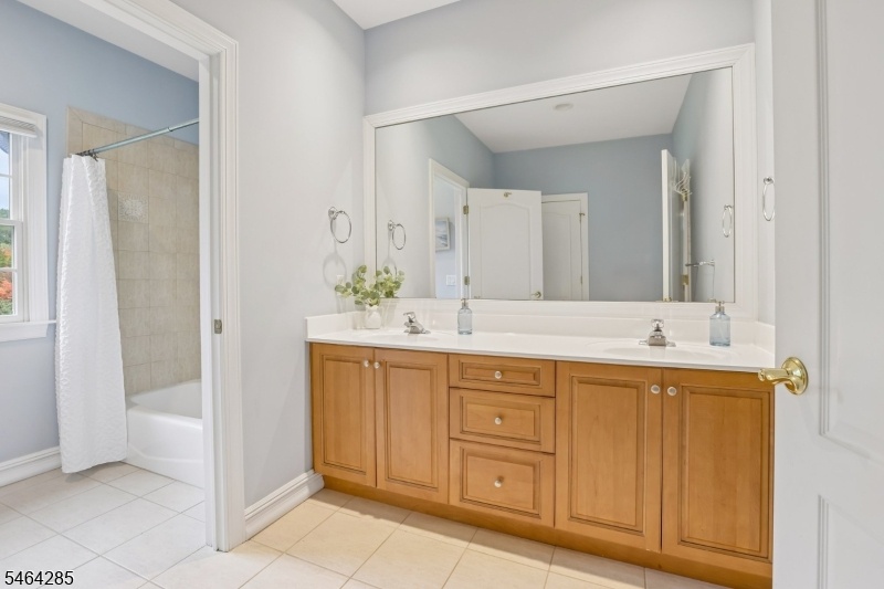 Full hallway bathroom