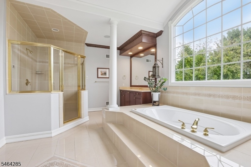 Jacuzzi Tub walk-in shower