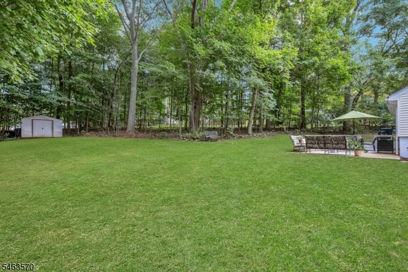 Large Wooded Lot