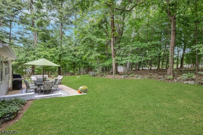 Rear Yard