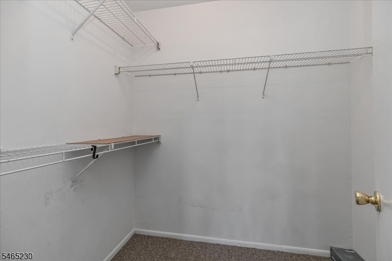 Primary Walk-in Closet