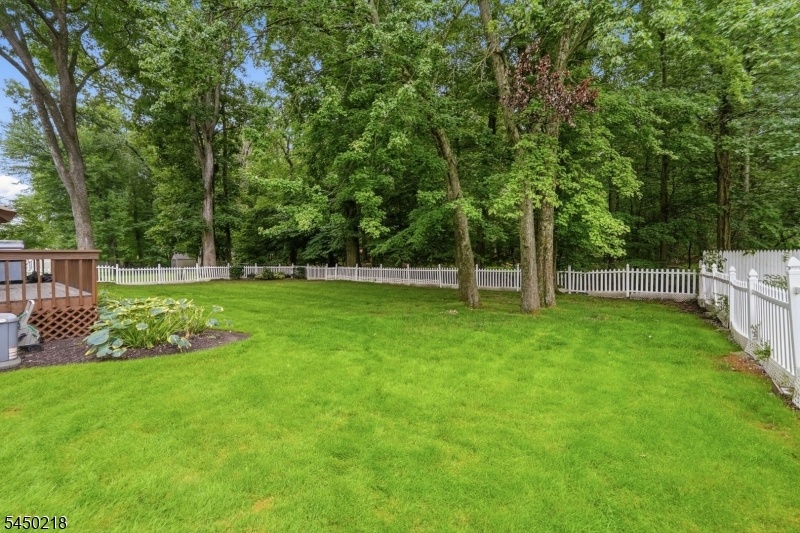 Beautiful Back Yard / Deck