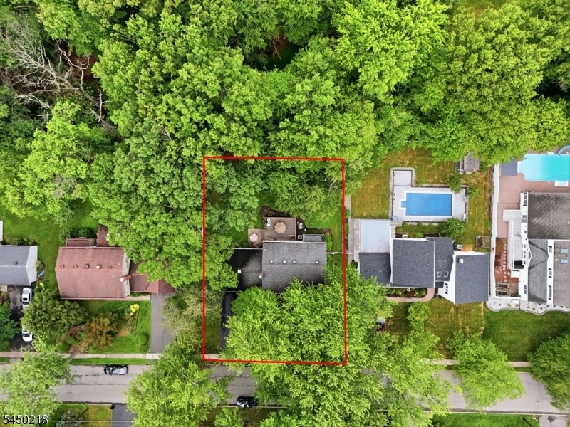 Arial View Wooded Behind Lot