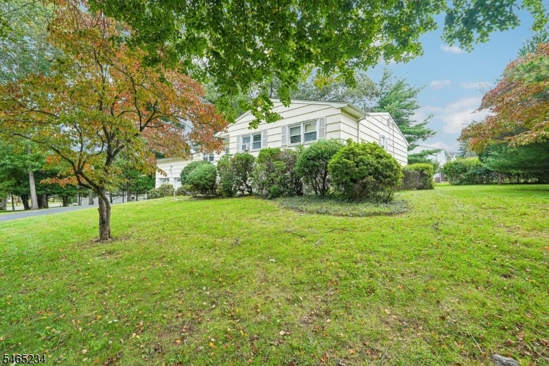 Wooded Lot