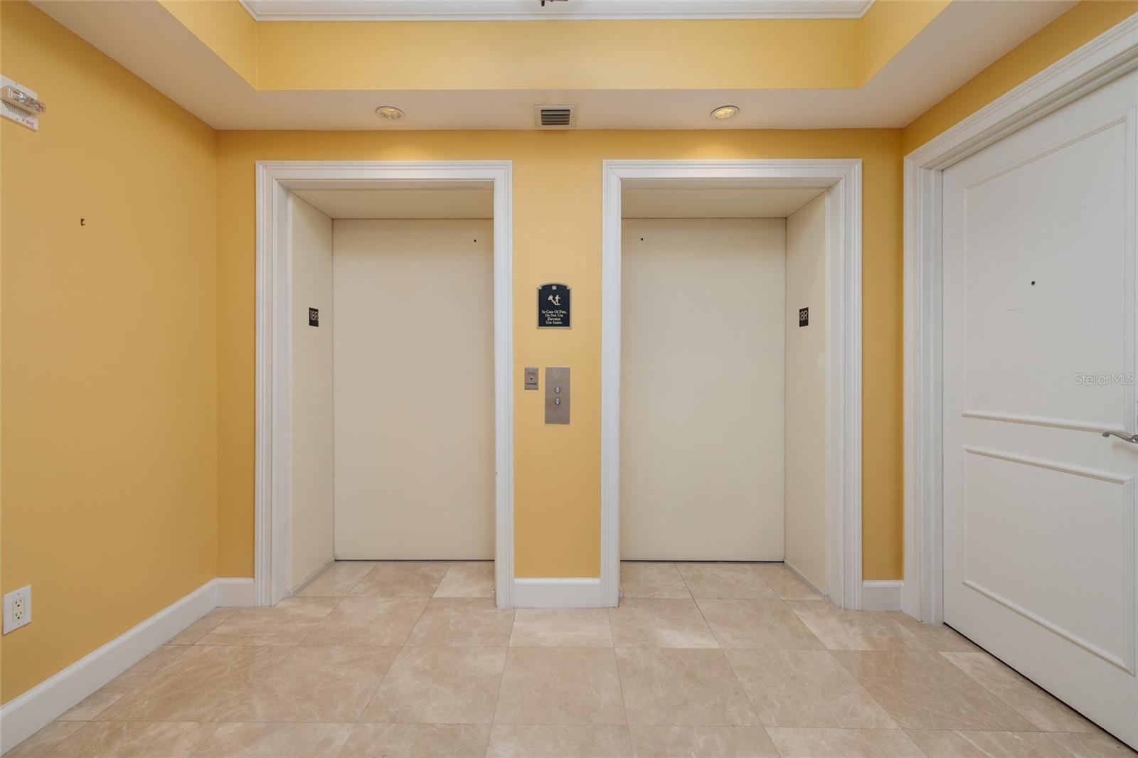 Private 18th Floor Elevators/Foyer