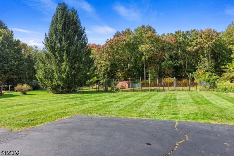 Level Large Back Yard