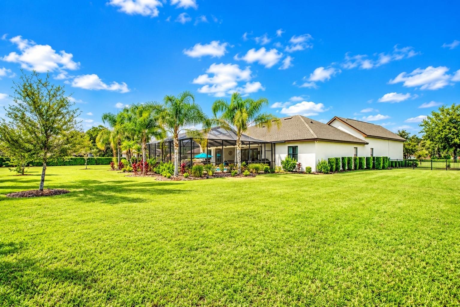 Huge Backyard