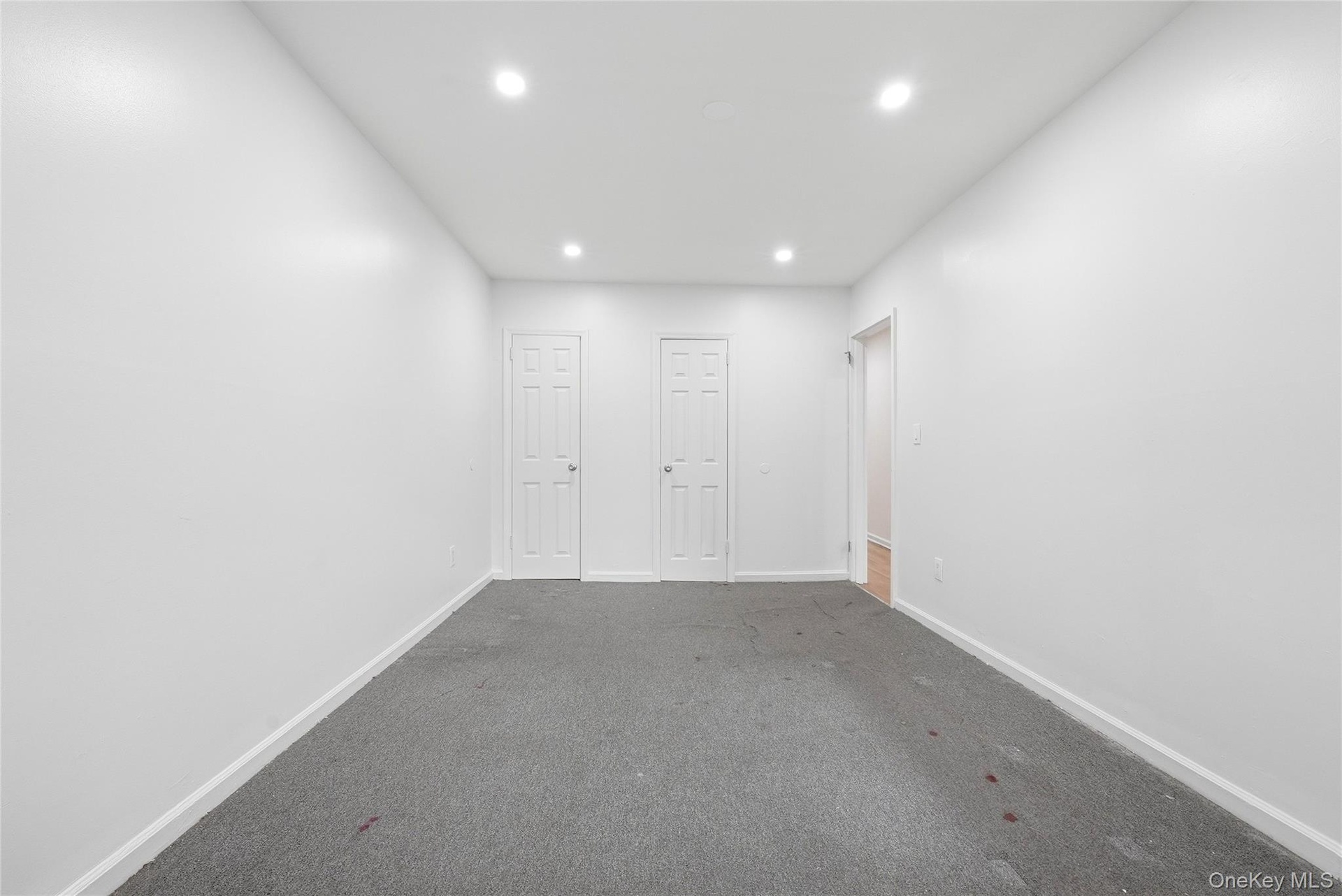 Recessed ceiling lighting, white walls, two paneled interior doors, and grey carpeting