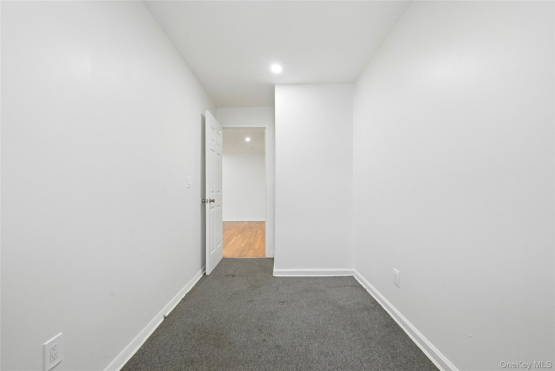 White painted walls, gray carpet, and a white interior door with a silver-tone knob
