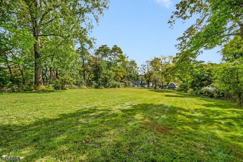 Rear yard