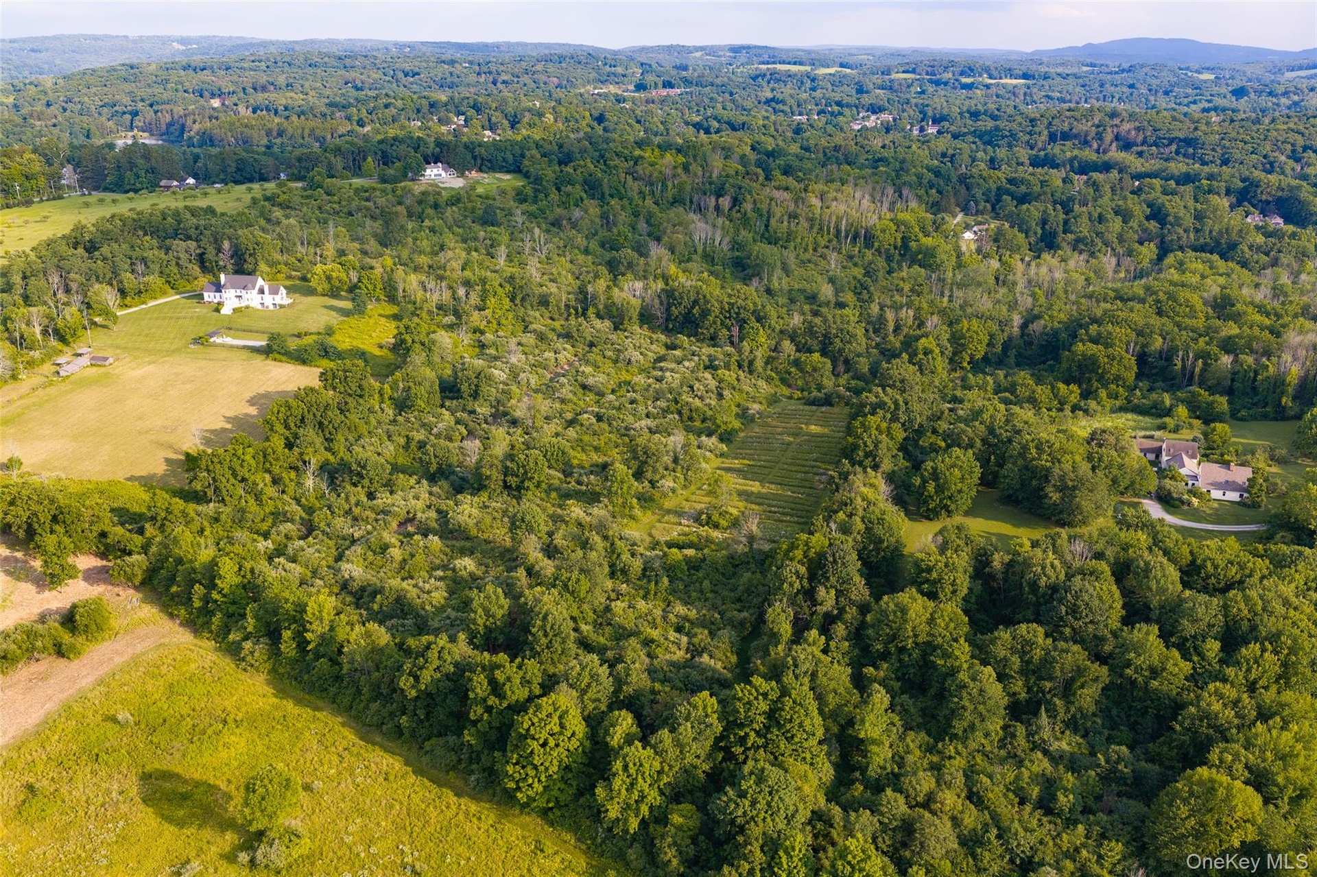 The full property looking south from over the northern end
