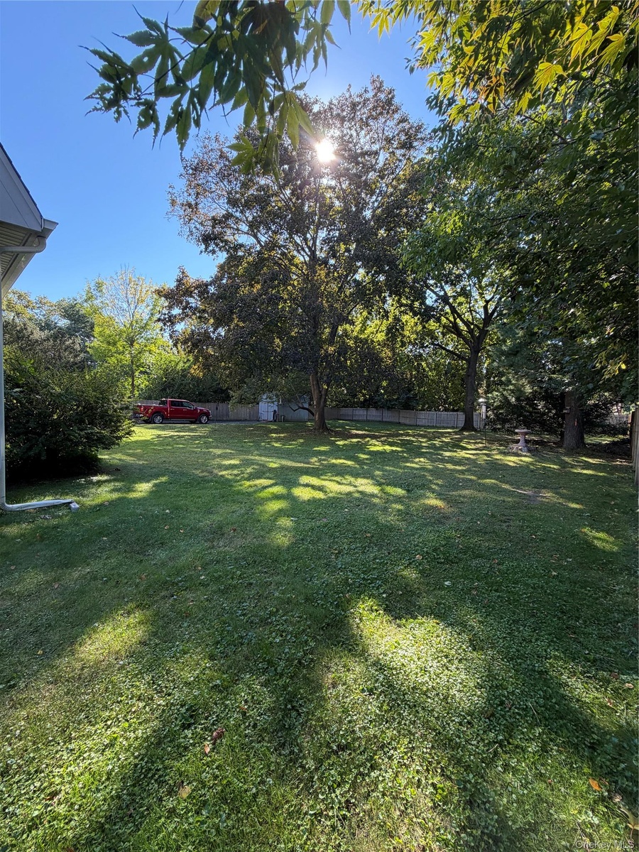 plenty of room in this yard for any imagination