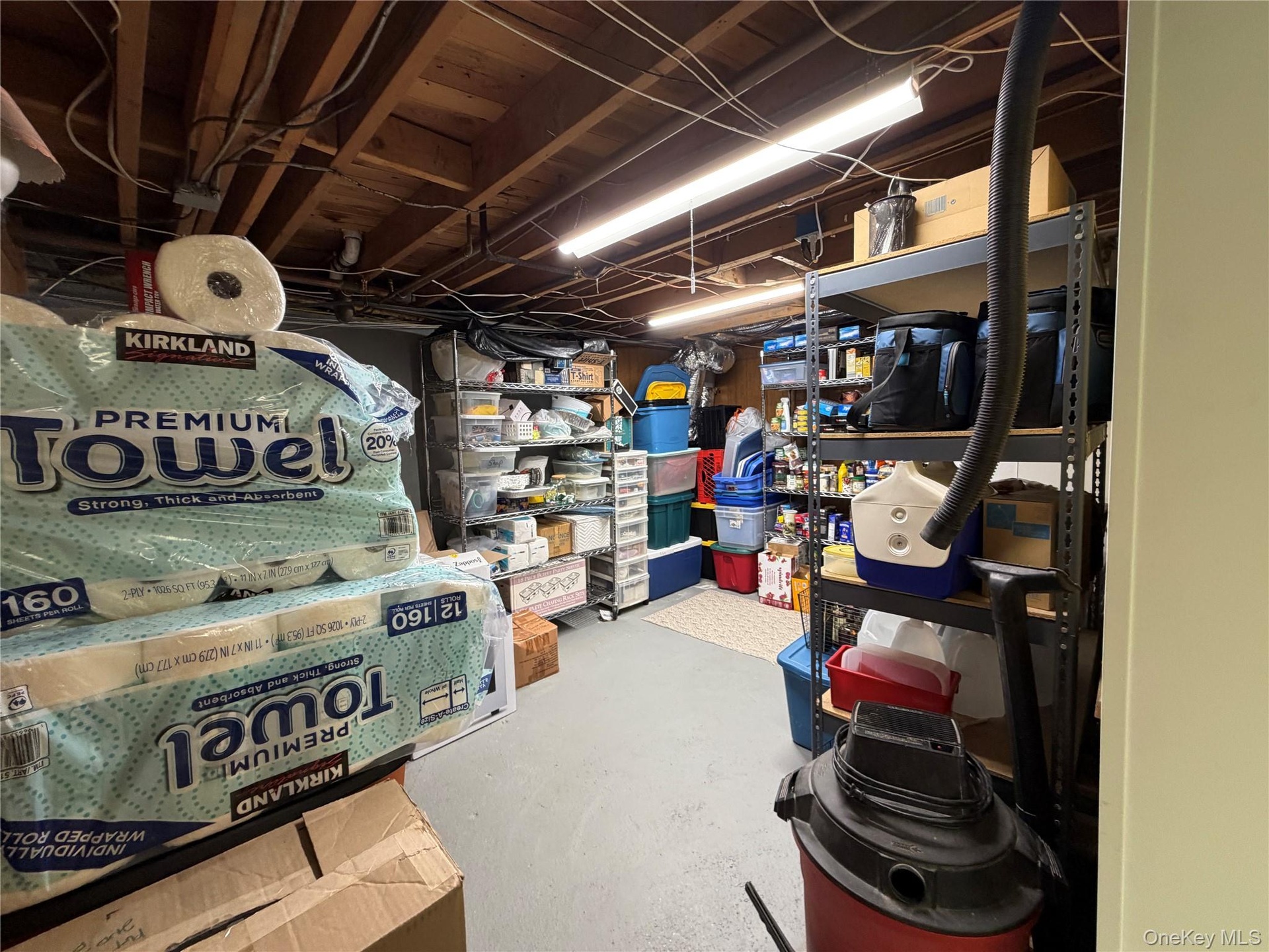 Endless storage, in basement, painted floors