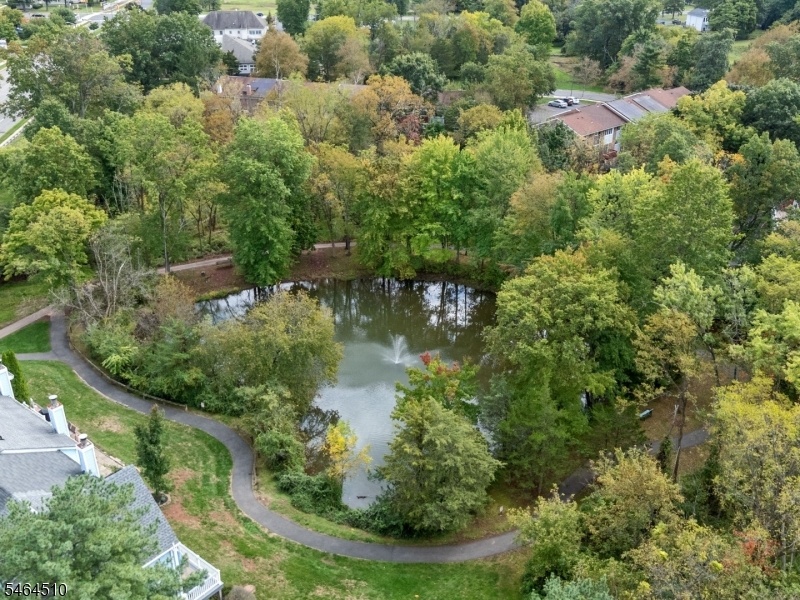 Community pond