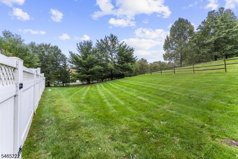 Private Backyard