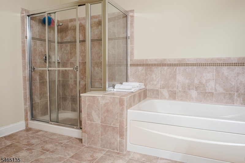 Primary Bed Room Bathroom v2