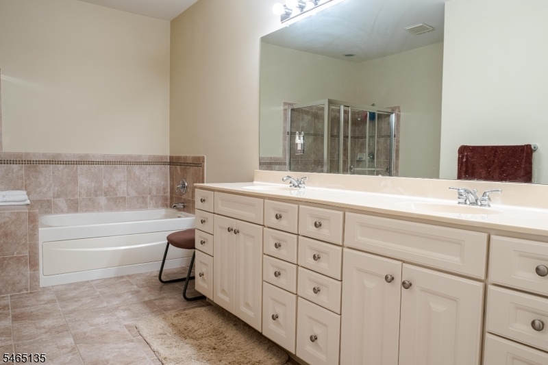 Primary Bed Rm Bathroom v1