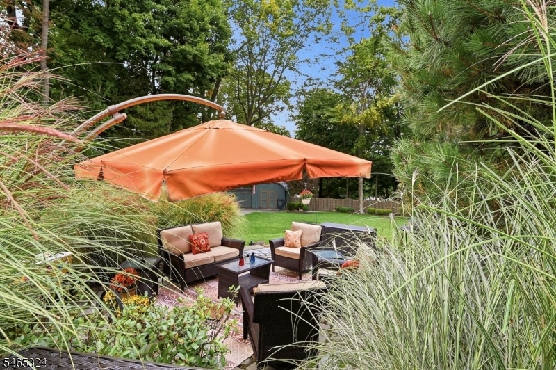 Rear Yard Oasis