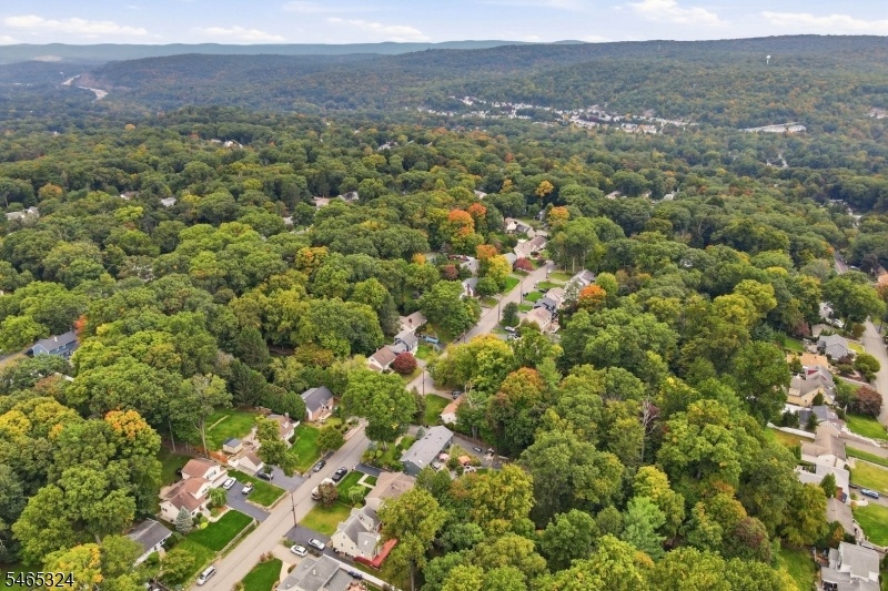 arial view Manito Section