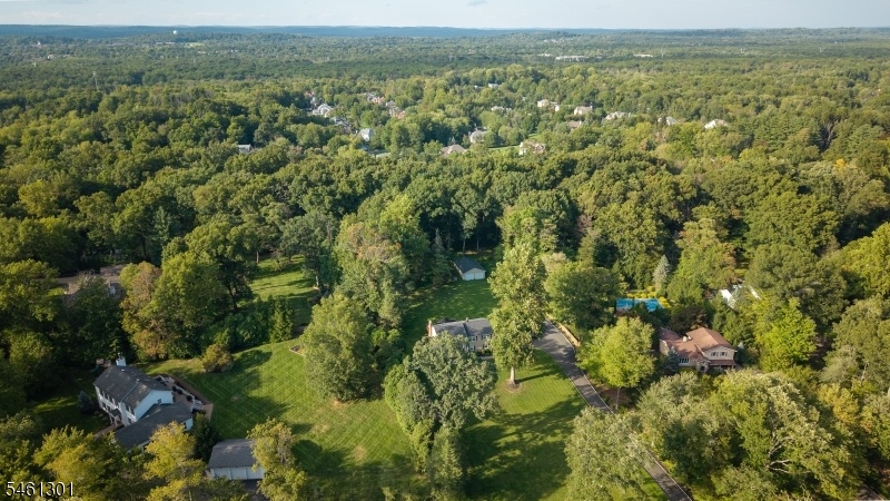 Drone View