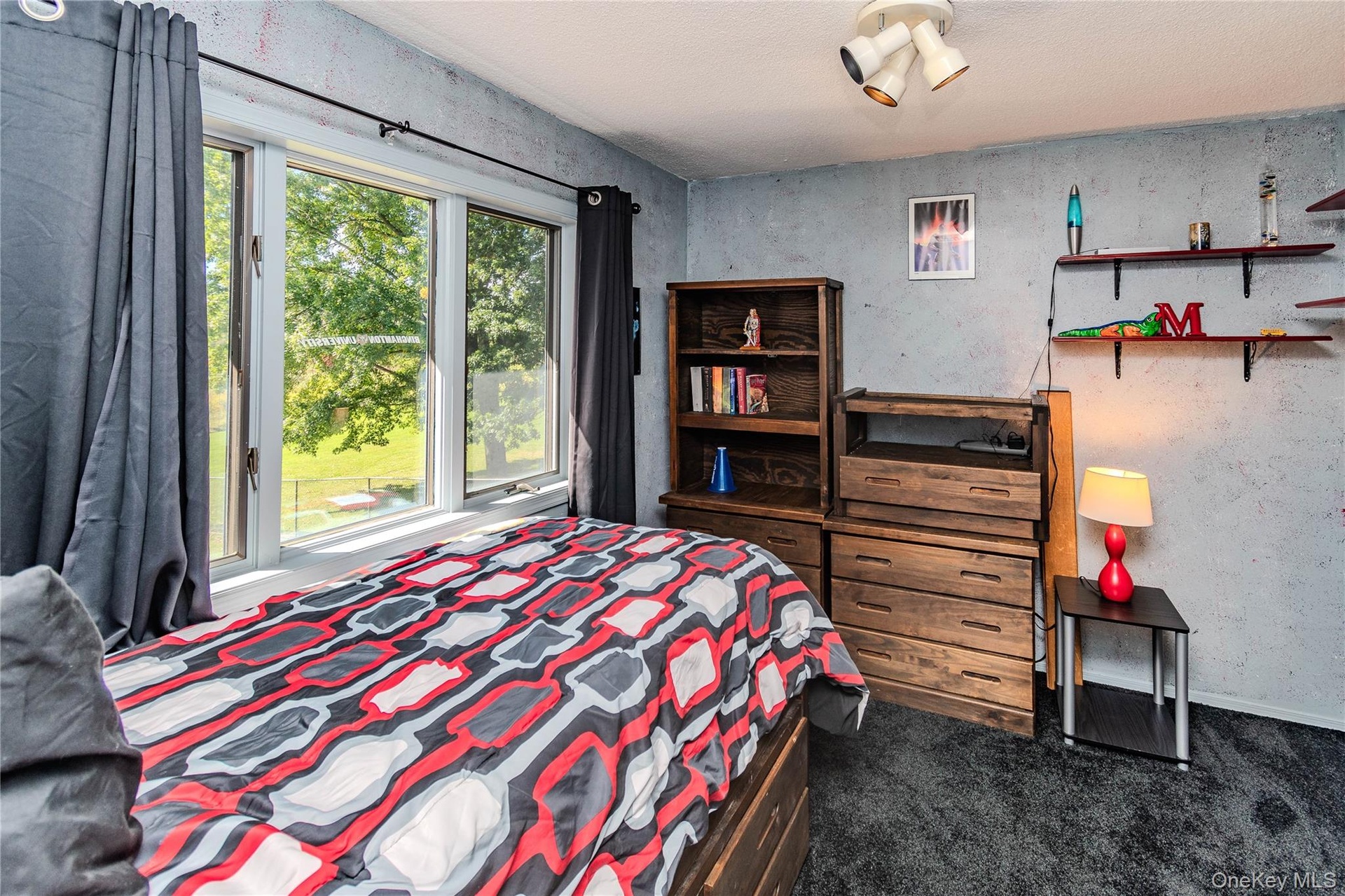 Multi-pane window with white trim, dark gray wall texture, dark gray carpet flooring, and a ceiling-mounted track light fixture