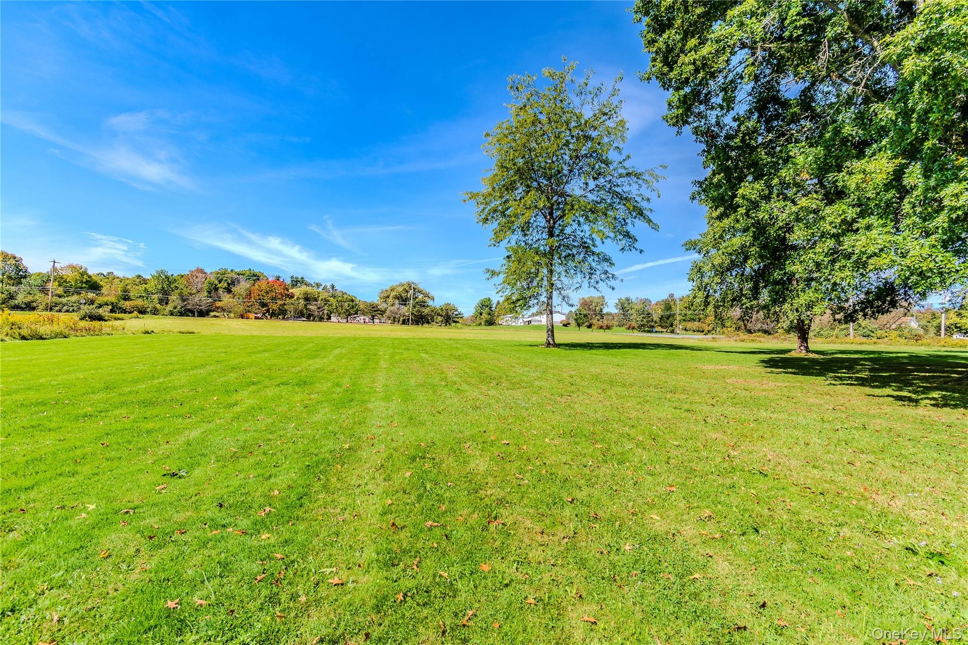 Expansive green lawn with mature trees and a clear blue sky