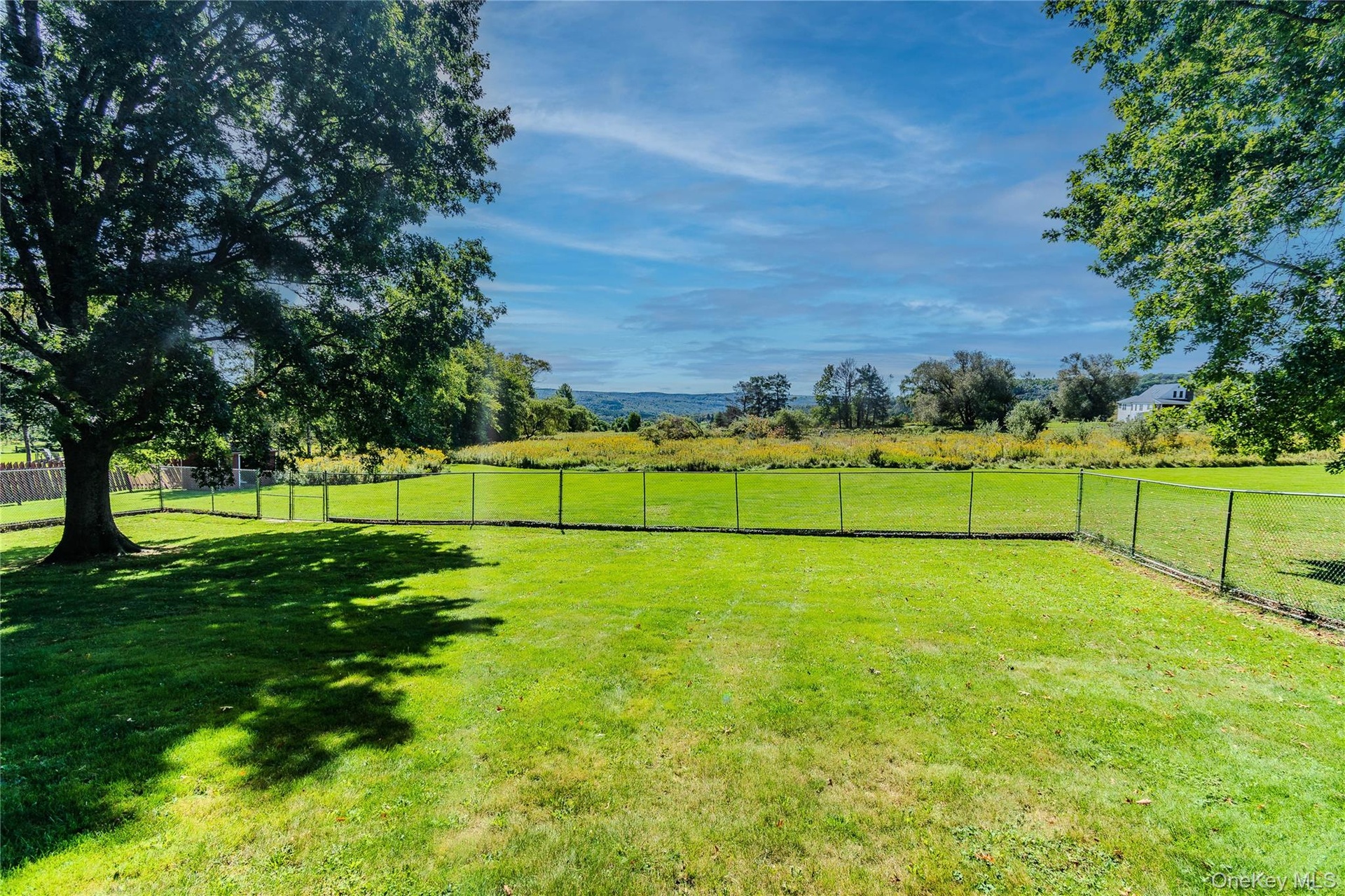 Expansive green space featuring chain-link fencing and mature trees