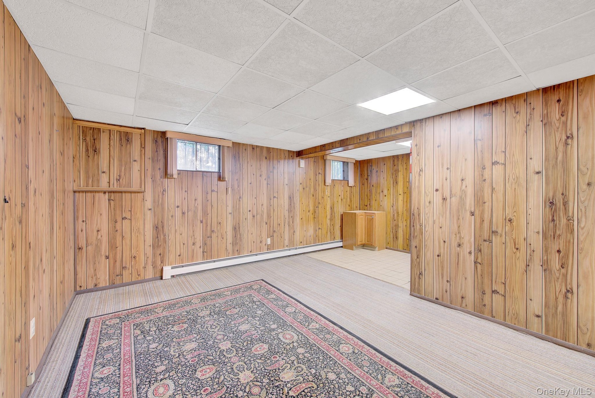Full Finished Basement Open Rec Space