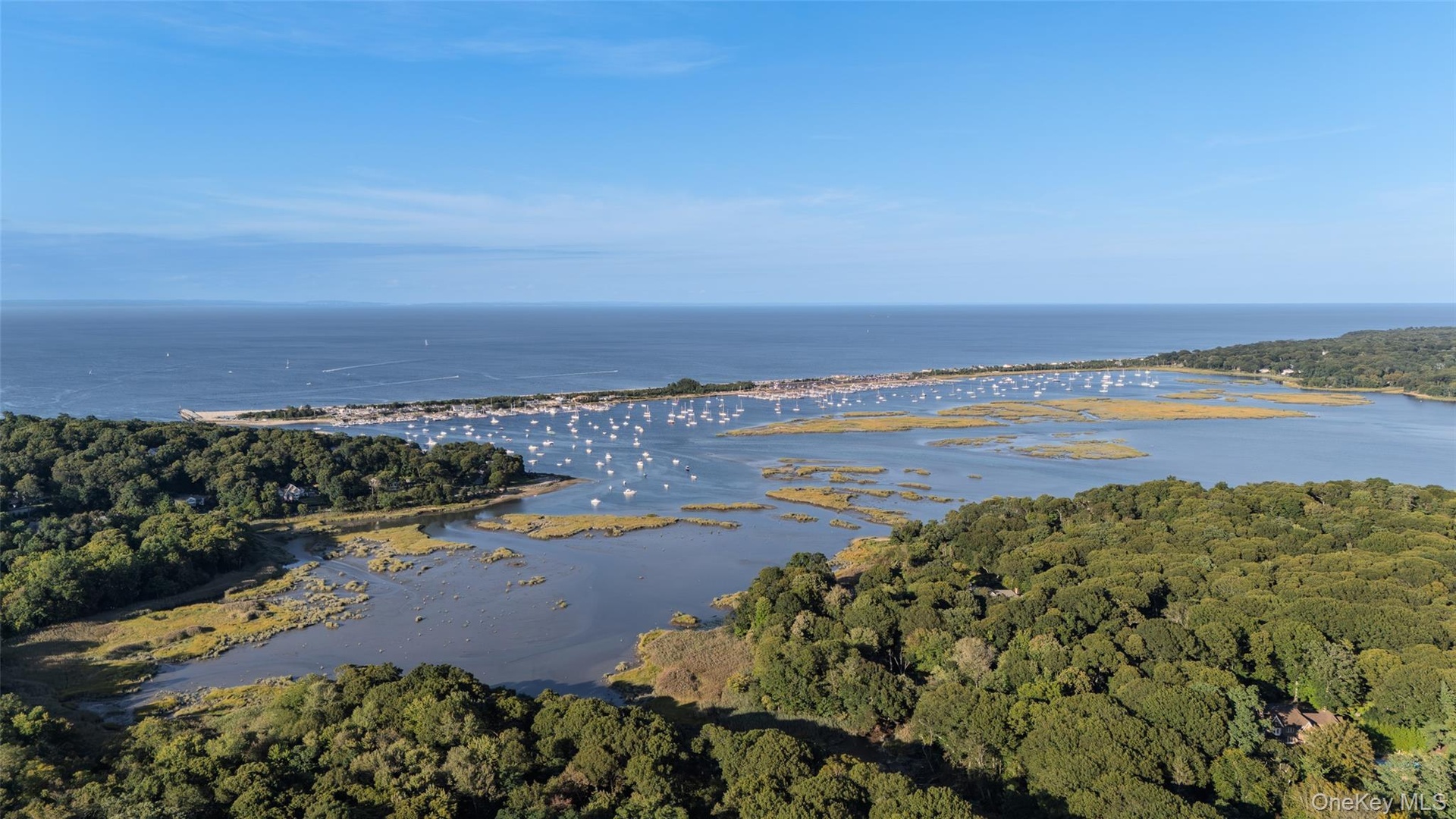Serene setting surrounded by Coastal Woodlands