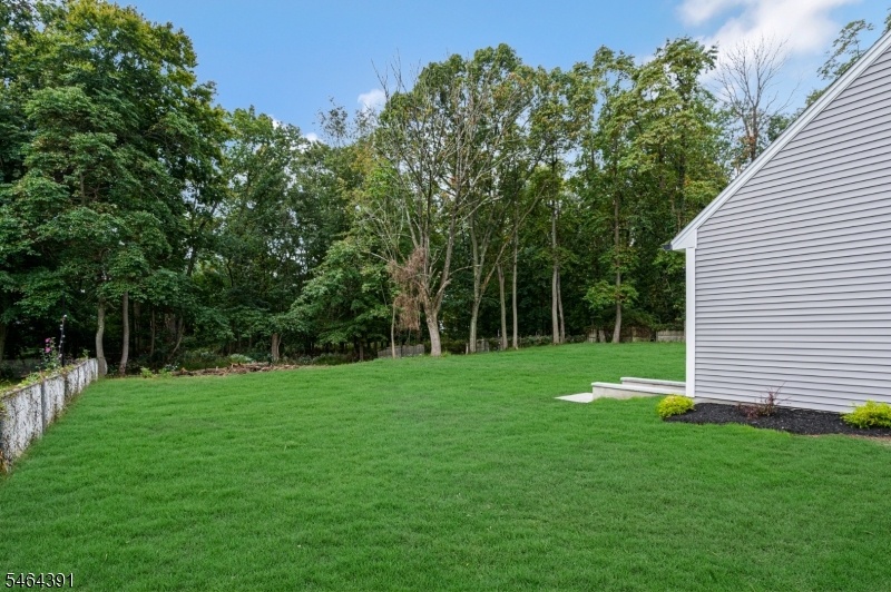 Level Yard
