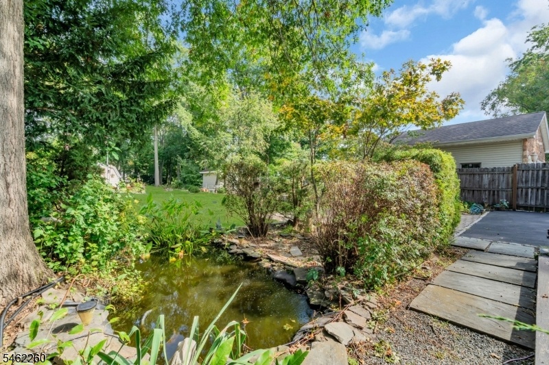 Coy Pond