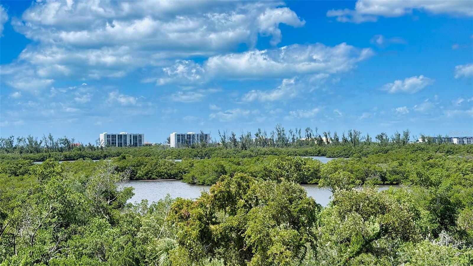 The rooftop vantage point captures the remarkable natural beauty surrounding this unique residence.