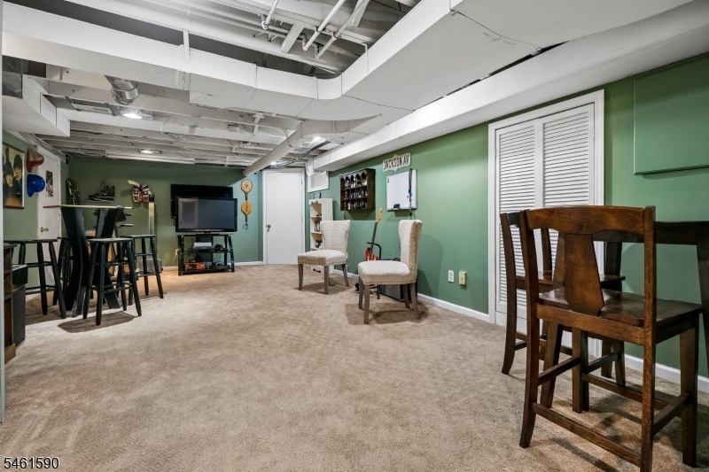 Basement Rec Area