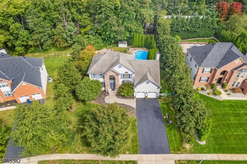 AERIAL
