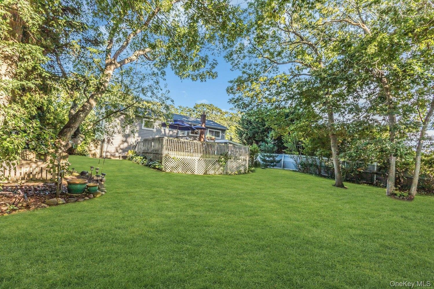 Spacious Back Yard